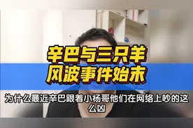 辛巴与三只羊风波事件始末