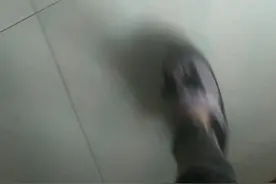 谁还没有个秘密基地，谁还没有个哈鸡咪呀