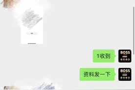 新客户boss直聘账号跳对公打款认证两单