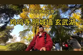 南京赏秋之旅～漫步玄武湖鸡鸣寺明城墙。玄武湖的银杏大道很美。