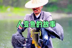 冬生意味救一条鱼，鱼报恩赠予他鱼鳞，结果因为贪婪自己被变成鱼视频封面