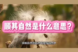 顺其自然是什么意思？