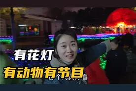 咱们中国人自己的游乐园！49块钱的门票，长春动植物园超值！视频封面
