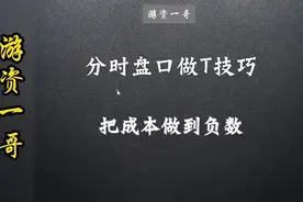 炒股最赚钱的一种方法：长期持有一只股票，反复做T