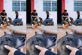 巴图听了自己生病的故事后流下了感动的泪水视频封面