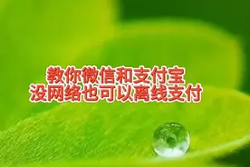 支付宝和微信支付没网络也可以离线买东西，知道咋使用吗，教你视频封面