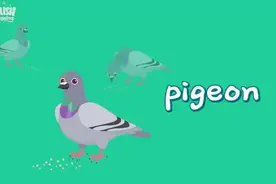 美国幼儿园小学生【1000个英语单词】魔性洗脑动画，少儿启蒙必备视频封面