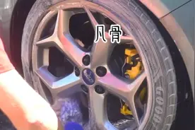 @番茄作家助手 凡骨