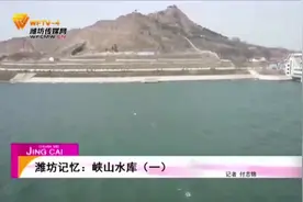 潍坊最牛的水库视频封面