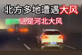 2025年4月11至12大风已到张家口，现场画面太震撼！快来一探究竟视频封面