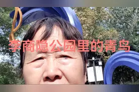 青鸟也称之为神鸟，是传情之鸟