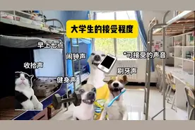 大学生的接受程度