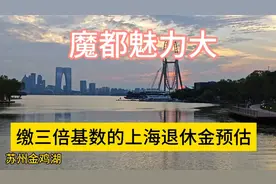 三倍社保缴费基数，上海退休金预估#提高缴费基数影响大吗？视频封面