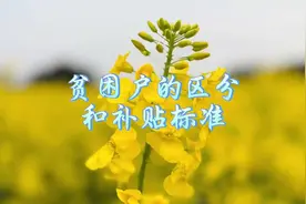 #今日头条#五保户、低保户、特困户的补贴标准 #低保 #农村视频封面