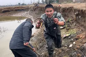 10斤黄鳝放在鱼塘里养，一年后把水抽干，看看是挣了还是赔了视频封面