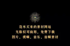 花米买来的，免费爆款素材网站分享给大家，免费下载无版权可商用视频封面