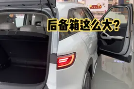 听我一句劝！比亚迪元up后备箱这么大？内部用料比想象中好三倍？视频封面