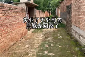 失业了无处可去，只能回老家了，三十多岁一事无成，感觉太难了视频封面