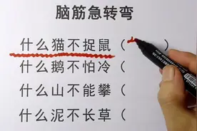 脑筋急转弯，什么猫不捉鼠，什么鹅不怕冷，什么泥不长草，你猜猜