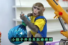 小猴子去超市买东西，发现巨大棒棒糖，只能开来大吊车来取视频封面