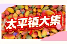 太平镇大集。今天我必须得给你们好好说道说道太平镇的那个大集市视频封面