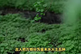 1分钟知道自己的五行属性
