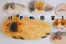 手工教程|如何自制芒狗