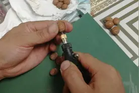 公园里的小毛桃可是宝，千万不要扔。取核放窗台阴干。可以做手串视频封面