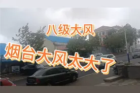 烟台突然刮起八级大风，大树都快刮倒了，天又暗下来了要下大雨了视频封面