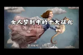 大师解梦，女人梦到牛的征兆视频封面