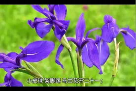 28256。28257背后的秘密