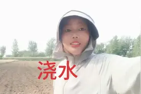 补种的花生今天去补浇一次水没想到种子被偷走了只留下圆圆的窝