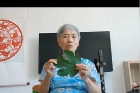 威海盛产无花果，果实好吃通便，叶白浆有消炎作用，叶泡水喝。