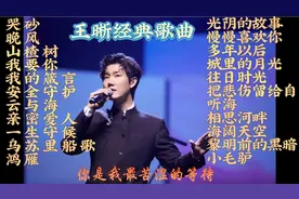 王晰经典歌曲22首，低沉嗓音醇厚，好听，不愧是低音炮，分享聆听