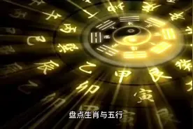 十二生肖猪与五行水视频封面