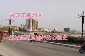 后娘养的武汉新洲区邾城街道出路在何方？目前只有阳逻街道发展了视频封面
