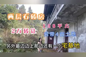 山里两层石头房，共138平，附带4亩土地，2万块接手，觉得怎么样视频封面
