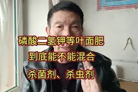 叶面肥、杀菌剂、杀虫剂，到底能不能混合使用？这里教你个方法视频封面