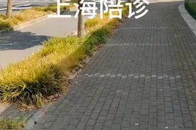 上海中山医院-陪诊-代挂号-跑腿-代办-134-7258-7388视频封面
