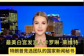 最美白宫发言人卡罗琳·莱维特