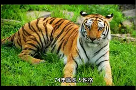 属虎女1974终身命运视频封面