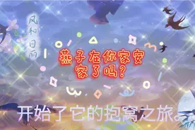 17000之后，安全适宜的环境，易于燕子安家