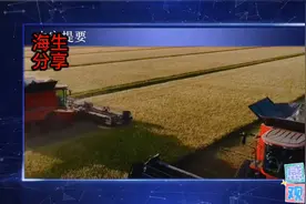 要把饭碗端在自己的手上，解决种子问题，保障14亿国人的吃饭问题