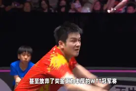 不明白，真的不明白，樊振东为何会选择代表上海队参加全锦赛？视频封面
