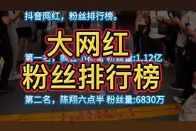 大网红抖音粉丝排行榜