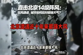 直击北京14级阵风：狂风肆虐，城市如何应对极端天气？