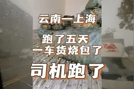 请司机开冷藏车注意了，拉趟绿通赔两万，趁早退出去吧视频封面