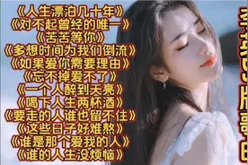 李英伤感DJ版歌曲《人生漂泊几十年》《对不起曾经的唯一》…