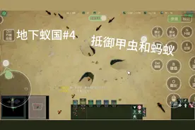 地下蚁国第四期：养殖箱挑战，保卫蚁后