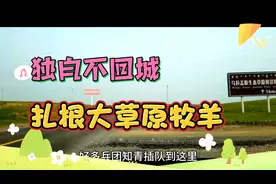 当年插队知青扎根草原不回城！现在发羊财！战友眼红了！视频封面